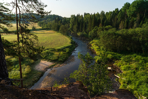 arroyo de agua del río Amata en Letonia con acantilados de arenisca, follaje verde en la mañana de verano
 - Foto, Imagen