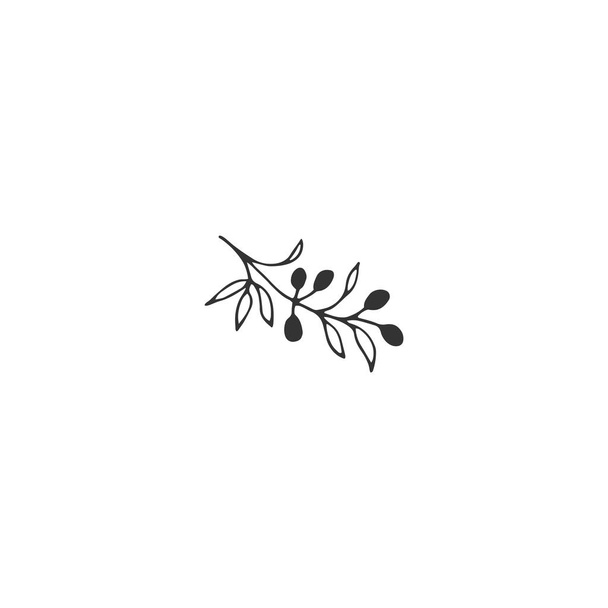 Vector floral hand drawn element in elegant and minimal style. - Vektori, kuva