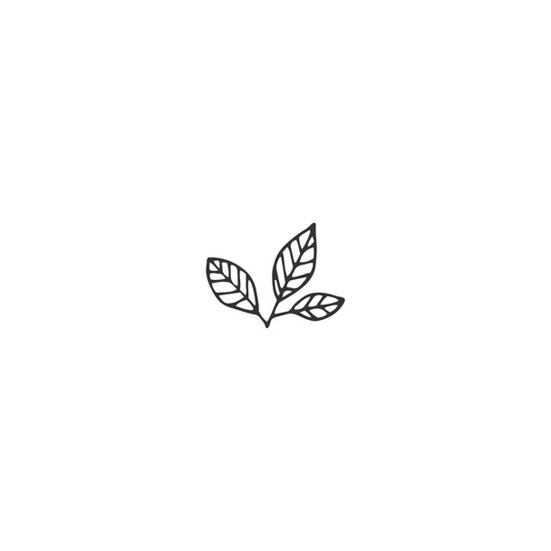 Vector floral hand drawn element in elegant and minimal style. - Vetor, Imagem