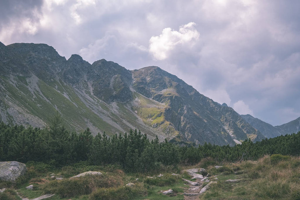 Westkarpaten an bewölkten Tagen, Tatra-Wanderwege - Foto, Bild