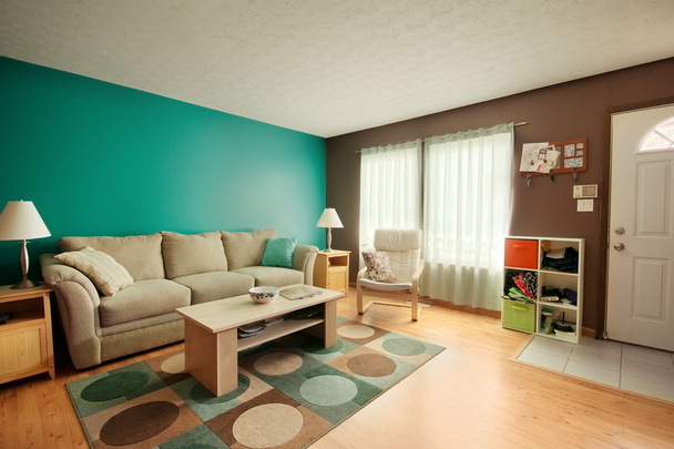 Teal and Brown Family Room - Photo, Image