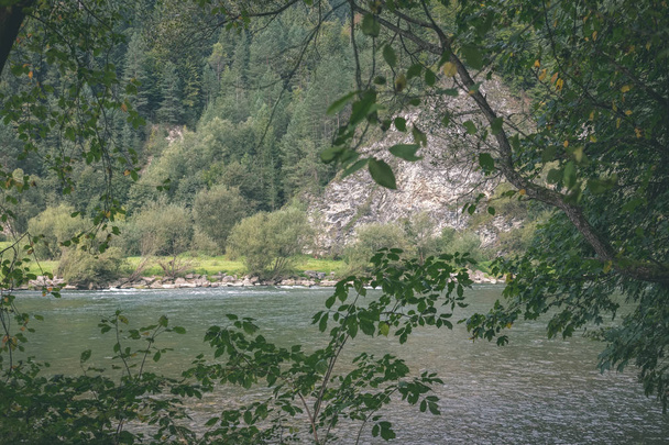 rio de água verde atrás das árvores no verão. Dunajec, Eslováquia - look retro vintage
 - Foto, Imagem