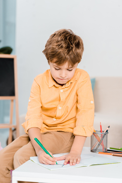 focused little boy writing and studying at home - 写真・画像
