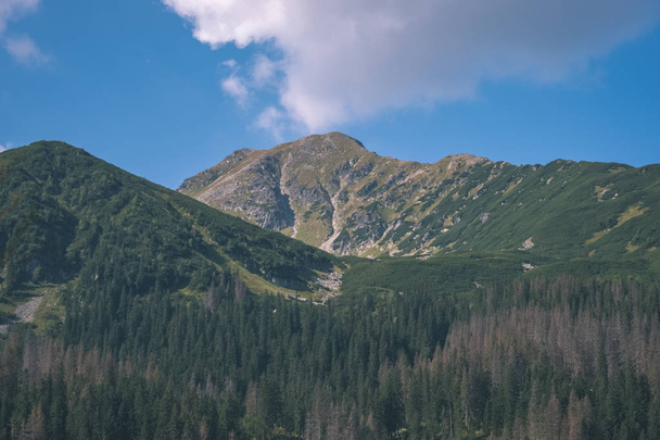 Länsi Karpaattien vuoret kirkkaana päivänä, Tatra vaellus polkuja
 - Valokuva, kuva