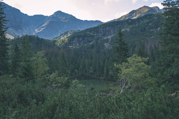 montagnes carpates occidentales par temps clair, sentiers de randonnée Tatra
 - Photo, image