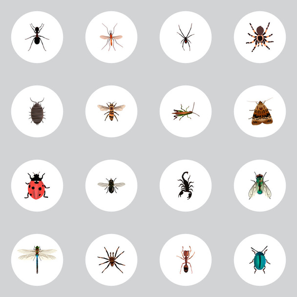 Набір реалістичних символів комах з мухою, чорною вдовою, павуком та іншими піктограмами для дизайну логотипу вашого мобільного додатку
. - Вектор, зображення