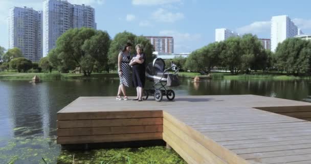 Mom with daughter on pond - Кадры, видео