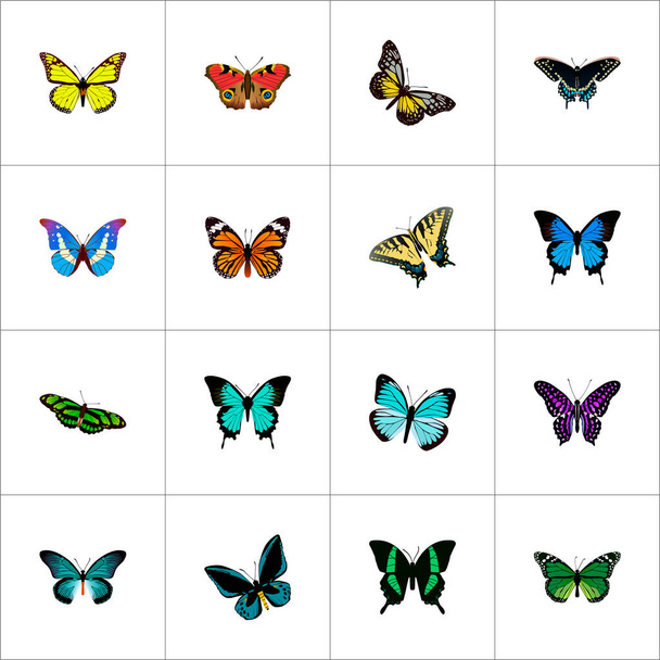 Set schoonheid realistische symbolen met morpho aega, polyommatus icarus, tailed-blauw en andere pictogrammen voor uw web mobiele app logo ontwerp. - Foto, afbeelding