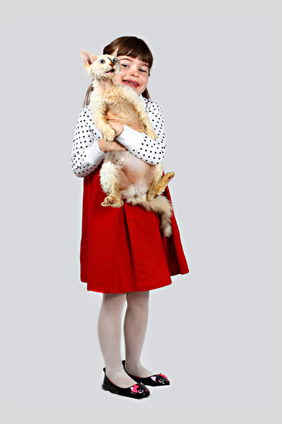 Tyttö kissan kanssa
 - Valokuva, kuva