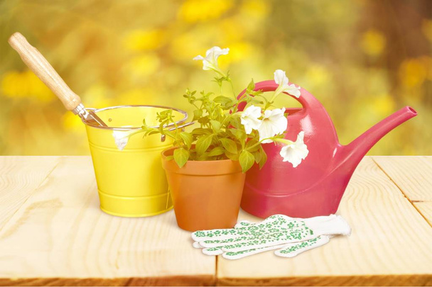 Flower Pot and gardening utensils - Fotoğraf, Görsel