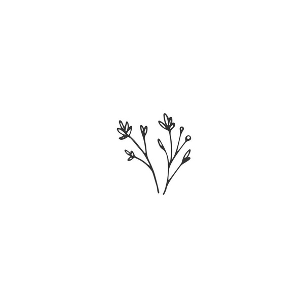 Vector floral hand drawn element in elegant and minimal style. - Вектор,изображение