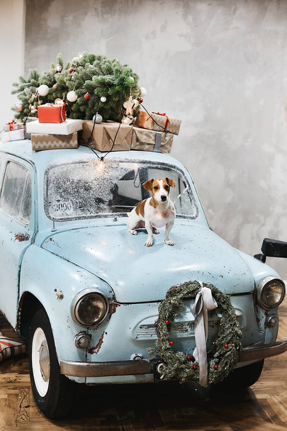 Маленькая собачка сидит на капоте синего ретро-автомобиля с подарками на крыше, украшенной на Рождество и Новый год
 - Фото, изображение