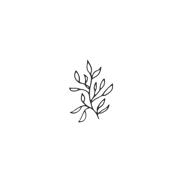 Vector floral hand drawn element in elegant and minimal style. - Wektor, obraz
