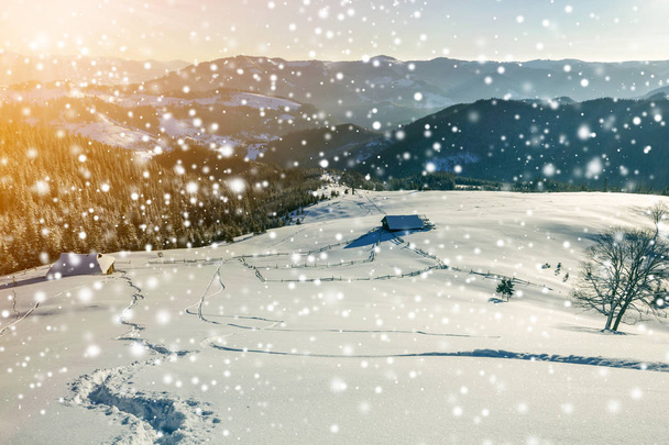 Paesaggio natalizio invernale all'alba. sentiero traccia impronta umana in cristallo bianco neve profonda attraverso campo vuoto, boschivo catena montuosa scura, grandi fiocchi di neve su sfondo chiaro cielo blu copia spazio. - Foto, immagini