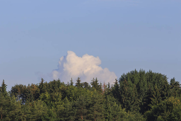 mennydörgés felhők felett erdő, szelektív fókusz - Fotó, kép