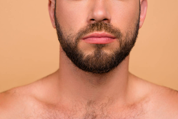Freshness health grooming concept. Cropped close-up of nice bear - Foto, Imagen