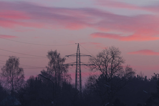View of power lines and trees at sunset - Photo, Image
