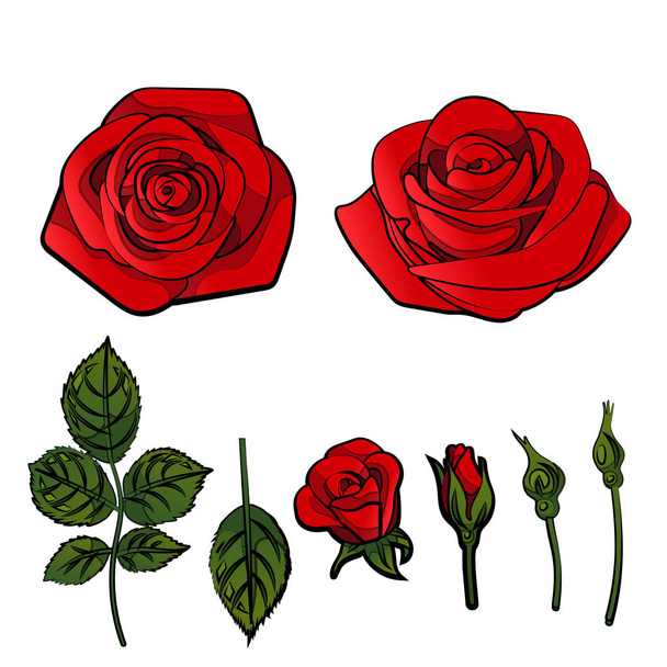 red rose with black contour outline design decor element isolated on white , vector illustration - Vettoriali, immagini
