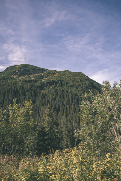 συννεφιά και ομιχλώδη ορίζοντα Σλοβακίας δυτικών Καρπαθίων Tatra βουνό που καλύπτεται με δάση και τα δέντρα σε πρόωρη χρώματα του φθινοπώρου - vintage ρετρό εμφάνιση - Φωτογραφία, εικόνα