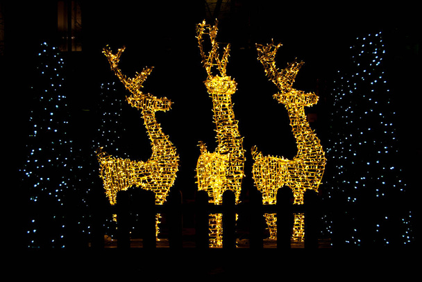Profil der großen Rentiere mit Weihnachtsbeleuchtung - Foto, Bild