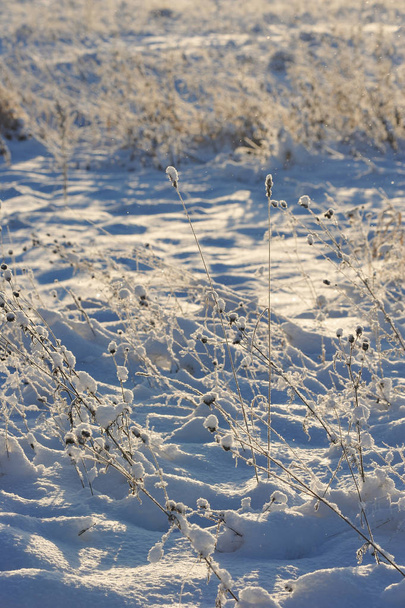 Kezdetén a téli a mezőket, a folyó közelében, az egyik a fagyos nap. - Fotó, kép