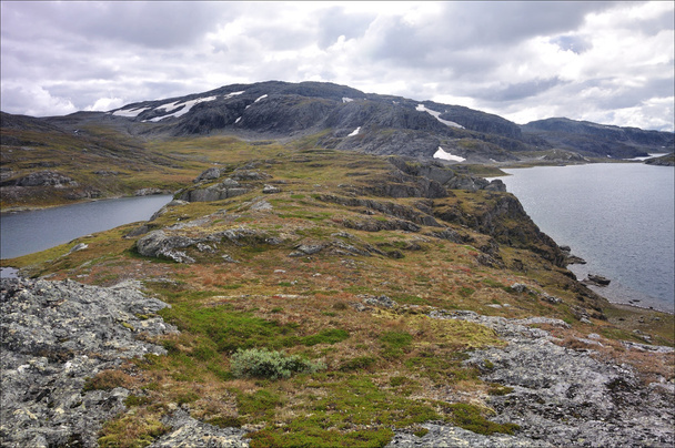 Hardangervidda, Norvegia
 - Foto, immagini