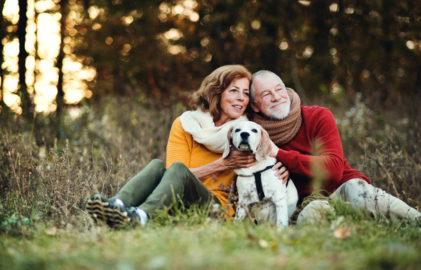 A senior couple with a dog in an autumn nature at sunset. - Foto, Bild