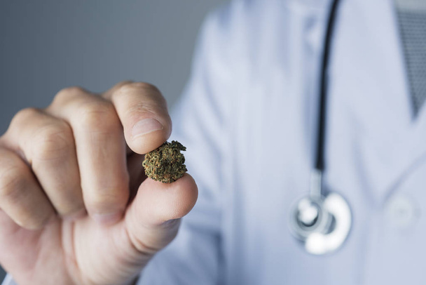 Close-up van een Kaukasische arts man, in een witte jas, met een marihuana-bud in zijn hand - Foto, afbeelding