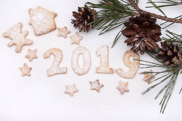 2019 αριθμοί από Χριστουγεννιάτικα κουλουράκια ή μπισκότα στο λευκό φόντο με έλατο και κώνο. Νέο έτος 2019. Το Top view. Επίπεδη θέσει. - Φωτογραφία, εικόνα