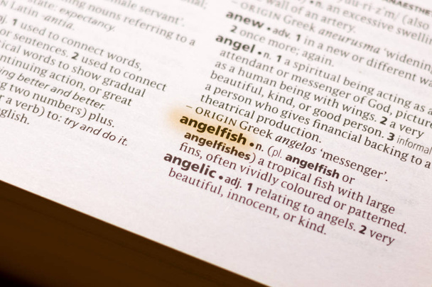 The word or phrase Angelfish in a dictionary highlighted with marker. - Photo, Image
