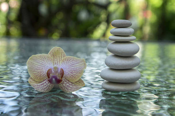 Stone cairn on green blurry background, light pebbles and stones, orchid blooming flower - Photo, image