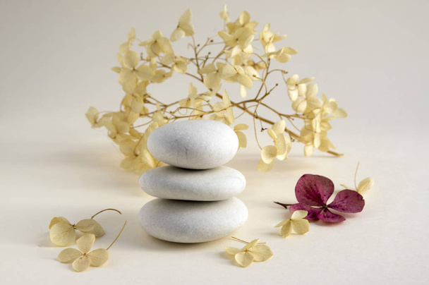Harmony and balance, cairns, simple poise stones on white background, rock zen sculpture, five white pebbles, single tower, simplicity, dry hydrangea white and red flowers - Photo, image
