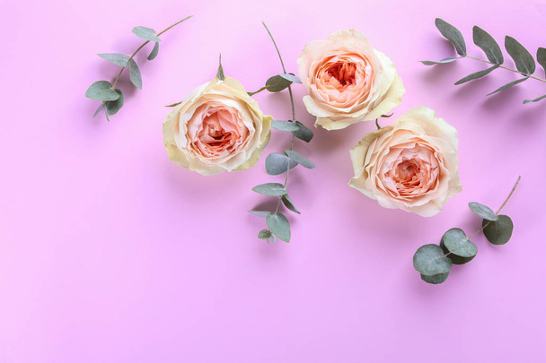 Beautiful roses with eucalyptus branches on color background - Foto, afbeelding