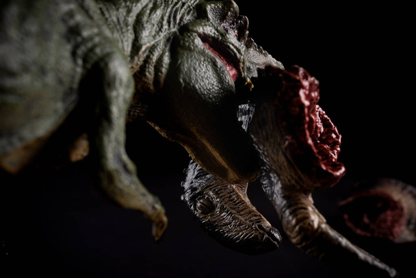 тиранозавр кусає шматок тіла динозавра на темному фоні
 - Фото, зображення