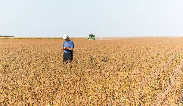 Jóvenes agricultores examinan campo de soja plantado
 - Foto, imagen