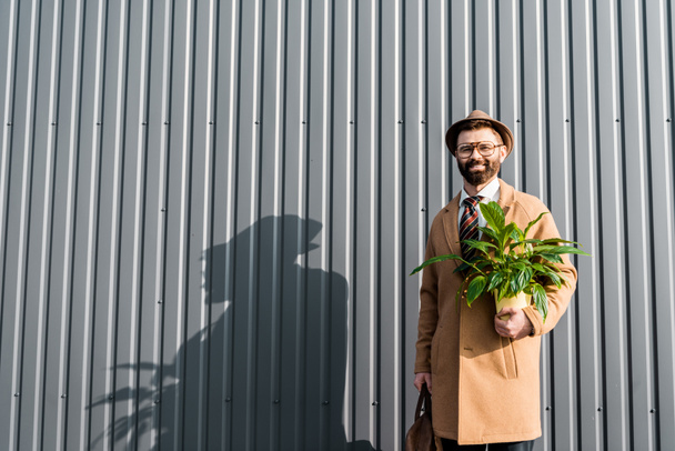 χαμογελώντας επιχειρηματίας κρατώντας την τσάντα και πράσινο φυτό σε κίτρινο δοχείο - Φωτογραφία, εικόνα