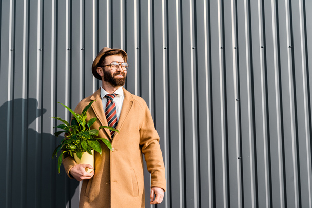 χαμογελά ευτυχισμένος άνθρωπος με το καπέλο και τα γυαλιά, κρατώντας το φυτό σε φωτεινό κατσαρόλα  - Φωτογραφία, εικόνα