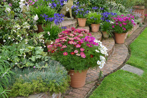 Kleurrijke tuinterras met gemengde bloemperken en beplante containers maken een zeer attractice weergeven in de fronr van een landhuis - Foto, afbeelding