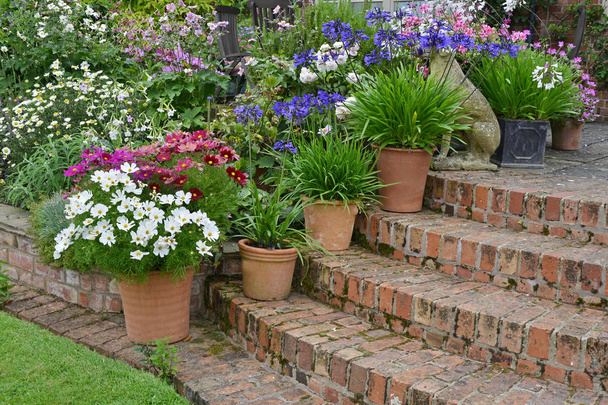 Värikäs puutarha terassi sekoitettu kukkapenkkiin ja istutettu kontit joten erittäin vetovoima näyttö edessä talo
 - Valokuva, kuva