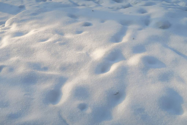 nieve en la tierra invierno fondo
 - Foto, Imagen