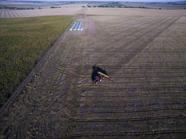 Direct seeding, agricultural machinery, in La Pampa, patagonia,  - Photo, Image
