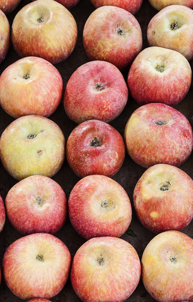 manzanas - Foto, Imagen