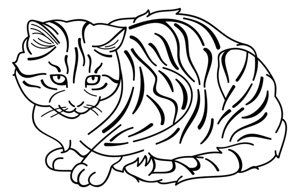 Полосатая кошка
 - Вектор,изображение