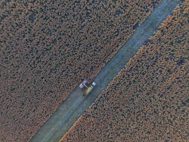 Cirok betakarítás La Pampa, Argentína - Fotó, kép
