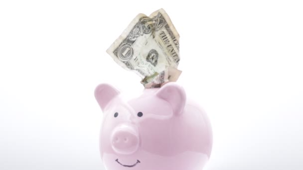 para ve yatırım kavramı gibi, beyaz arka plan üzerinde dolar banknot ile piggy banka   - Video, Çekim
