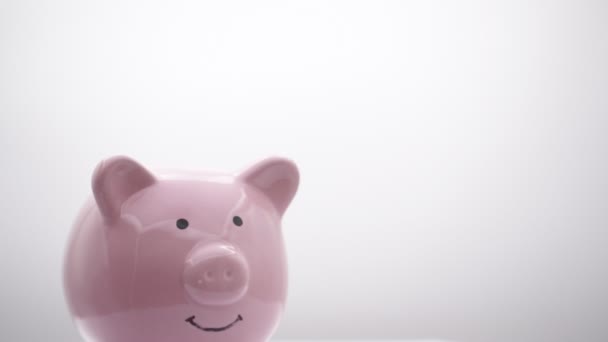 persoon schudden Piggy Bank op witte achtergrond, zoals concept van geld en investeringen   - Video