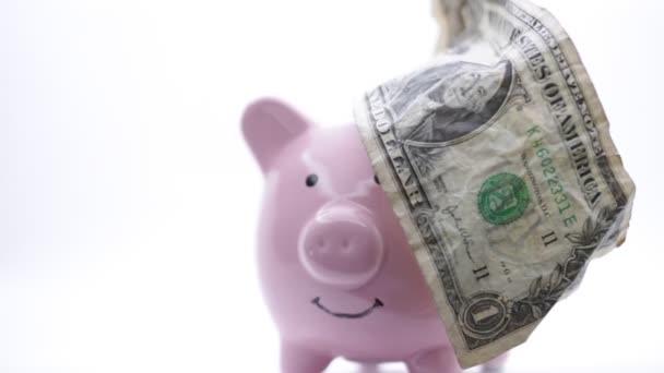 para ve yatırım kavramı gibi, beyaz arka plan üzerinde dolar banknot ile piggy banka   - Video, Çekim