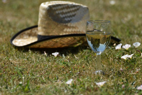 Cappello di paglia e bicchiere da vino nell'erba con piccoli fiori bianchi
 - Foto, immagini