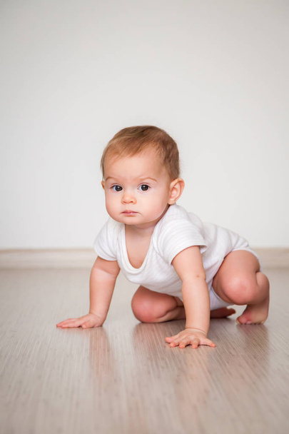 little baby girl crawling on the floor - Foto, immagini