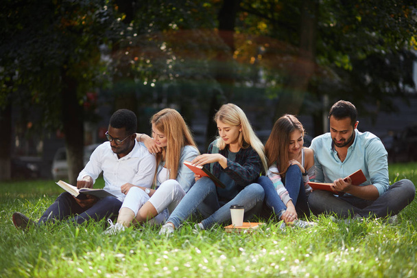 Mixed-race group of students sitting together on green lawn of university campus - Fotografie, Obrázek